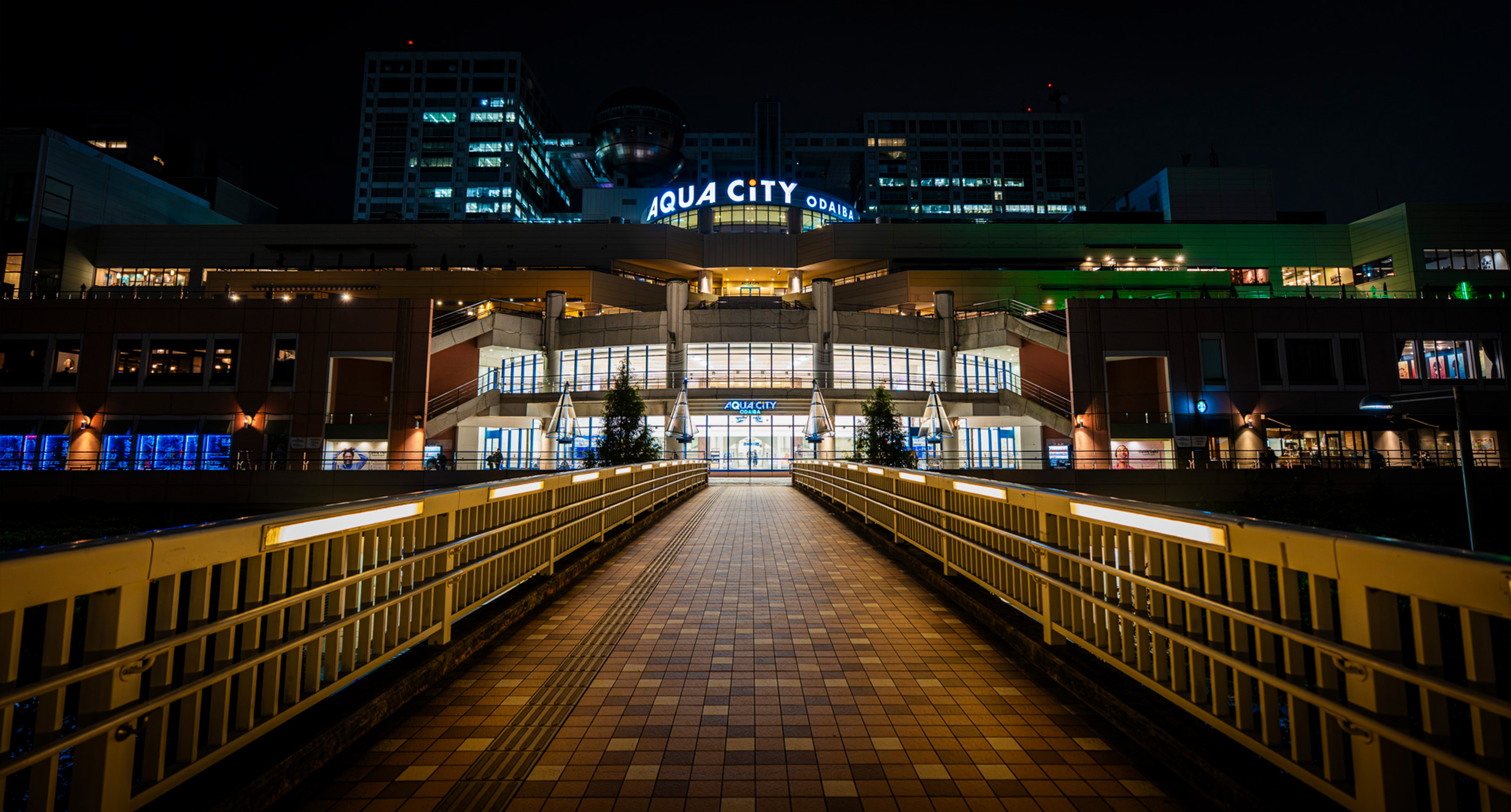 お台場夜景の写真